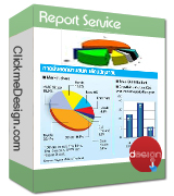 Report Service Report Service