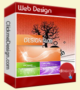Web Design and Web Development